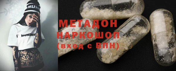 гашик Алексин