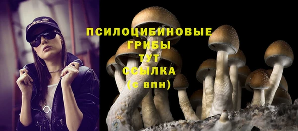 марки nbome Абаза