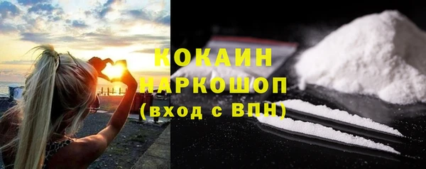 гашик Алексин
