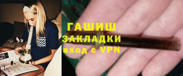 гашик Алексин