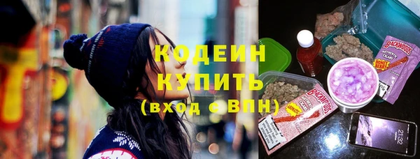 гашик Алексин